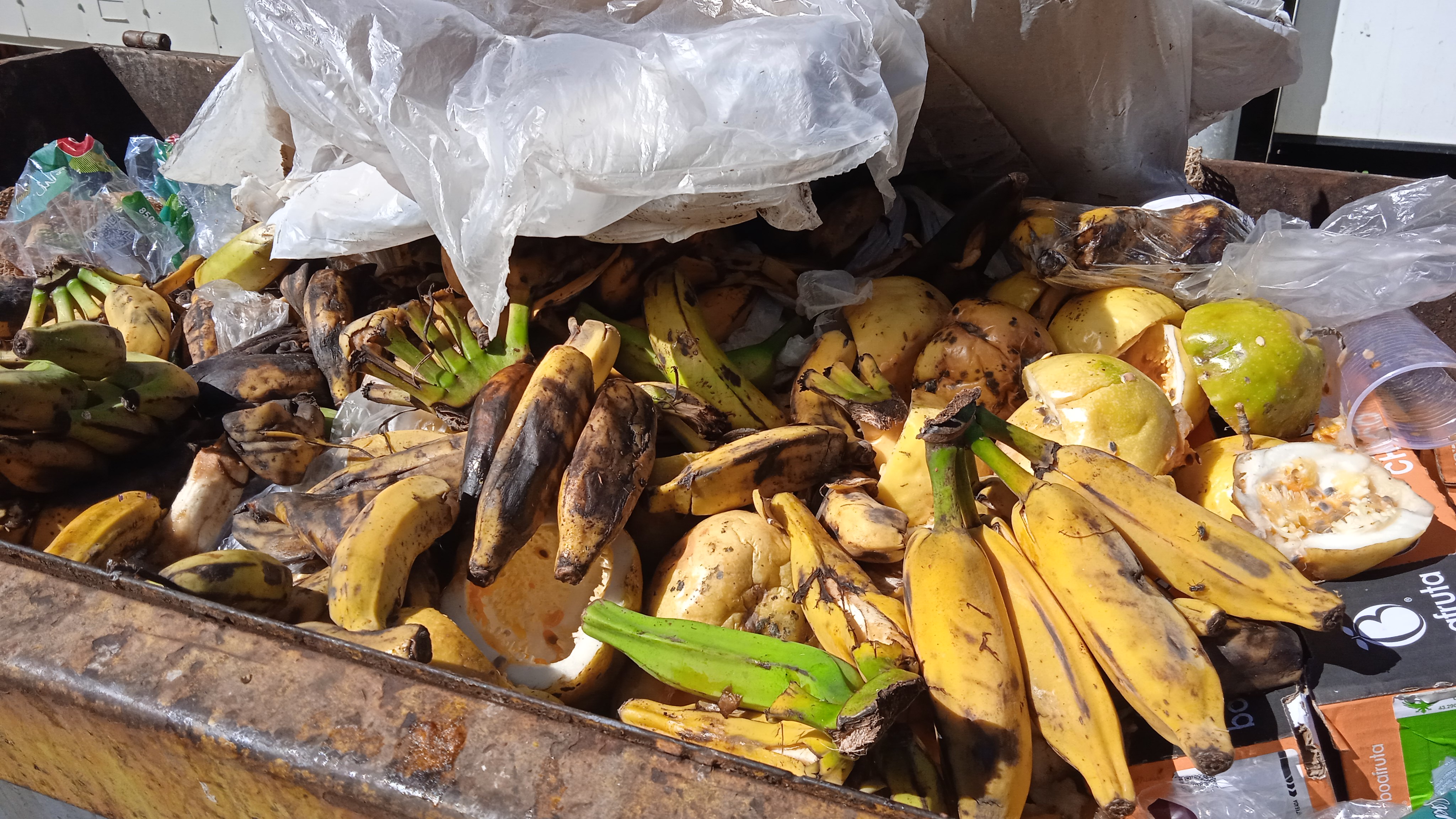 Banco de Alimentos de São Pedro da Aldeia é pioneiro no interior do Rio, no combate à fome