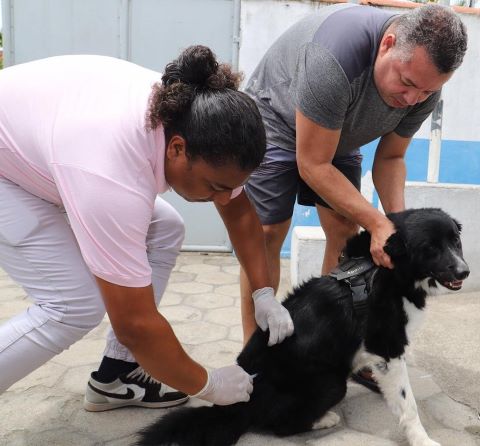 Rio das Ostras realiza Campanha de Vacinação Antirrábica Animal