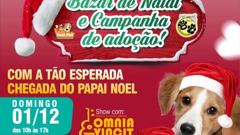 Bazar de Natal tem Campanha de Adoção de Animais