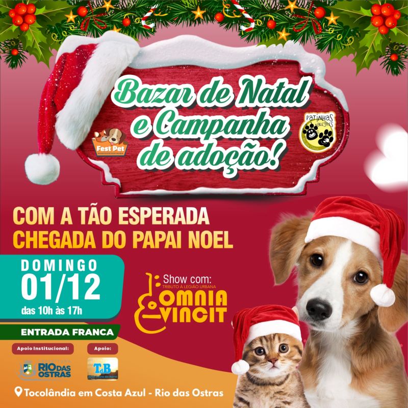 Bazar de Natal tem Campanha de Adoção de Animais