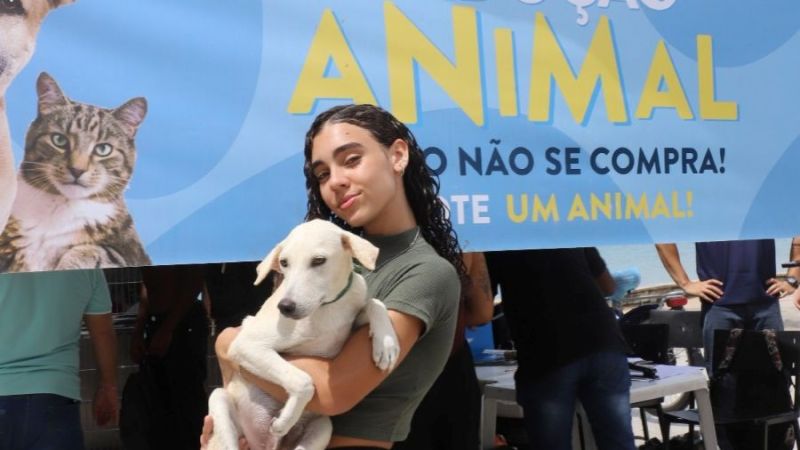 Feira incentiva a adoção responsável de animais em Rio das Ostras