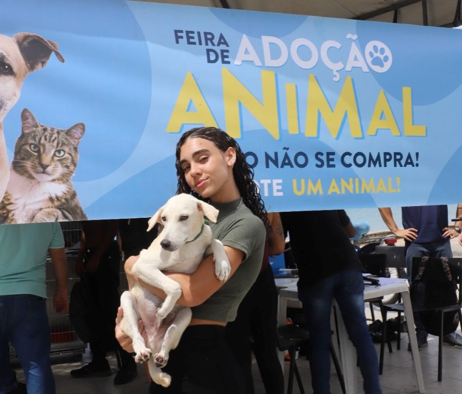 Feira incentiva a adoção responsável de animais em Rio das Ostras